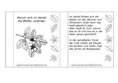 Mini-Buch-Herbst-Lesetext-1.pdf